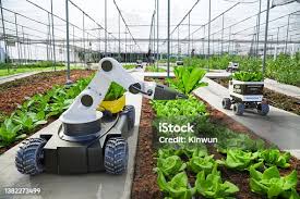 Agricultura familiar